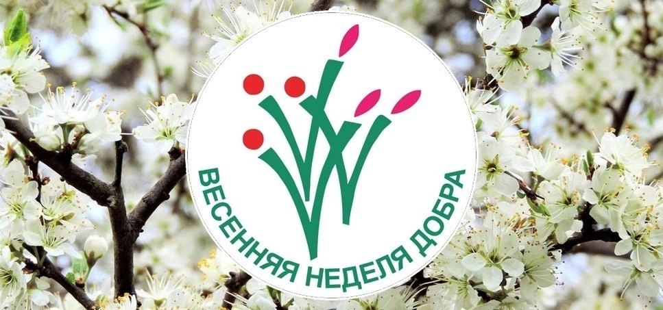 "Весенняя Неделя Добра-2025"..